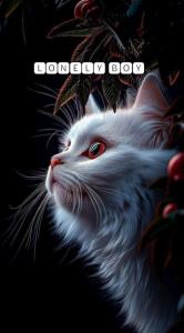 My Cat 😺