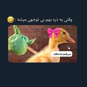 😂😂🥲🥲