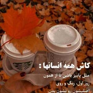 کاش....