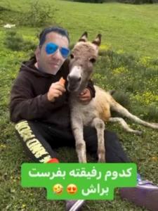 آلون دماغم 😂👍