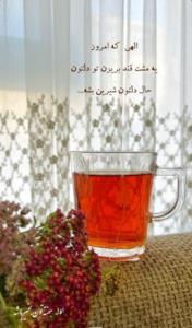 سلاااام🫡شنبه‌تون بشادی🍂☕🍁🍃🌺