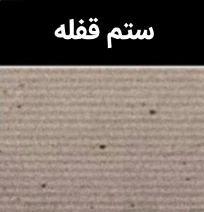 کاش کور شم نگاه به این صحنه نزنم🥀