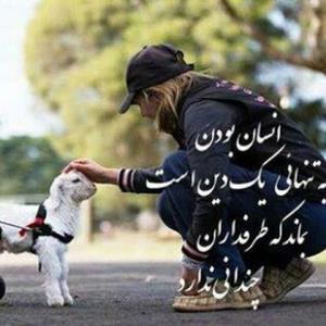 شرح درتصویر انسانیت 
