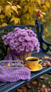 عصر پاییزیتون زیبا☕️ ✅

✾࿐༅🍃♥️🍃༅࿐✾