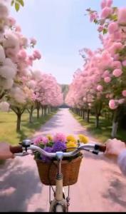 کمی زیبایی و آرامش ⚘🦋⚘🦋