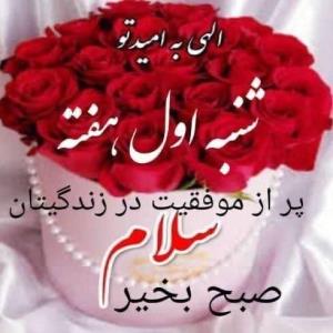 سلام آغاز هفته دوستانم بخوشی وزیبایی 🦋⚘🦋⚘🦋⚘