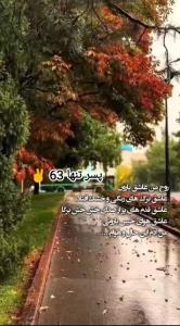 عاشقانه های پاییزی 🍁🍁🍂🍂🍁🍁
