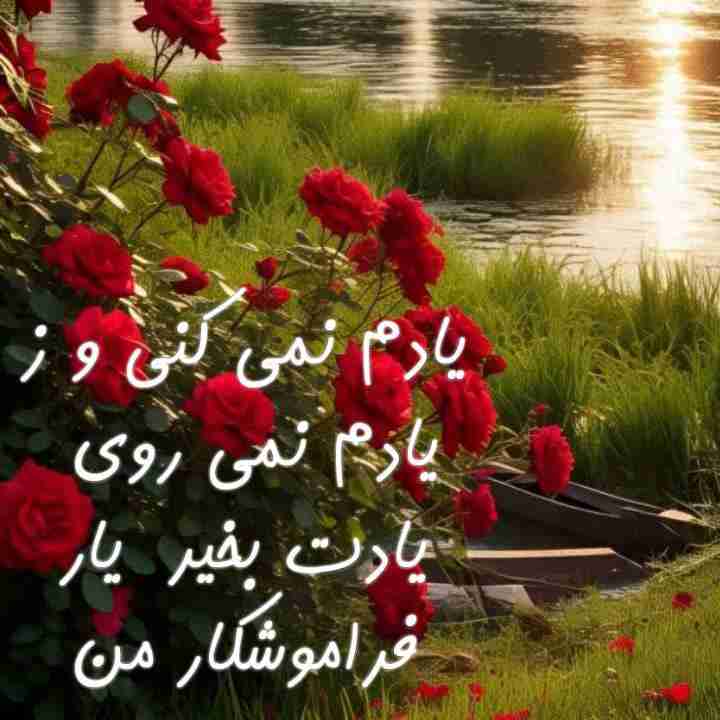 وقتی که شهریارمیگه؛

یادَم‌نِمیکُنی و 
زِ یادَم‌ نمیرَوی
یادَت بخیر
یارِ فَراموشکارِ مَن

‍‎‌‌‍‎‍‎‌‌‍‌‌‎‌‎‍‎‌‌‍‎‍‌‌‎‌‌‎‌‍‎‌‌‍‎‍‎‌‌‍‌‌‎‌‎‍‎‌‌‍‎‍‎‌‍‎‌‌‍‎‍‎‌‌‍‌‌‎‌‎‍‎‌‌‍‎‍‌‌‎‌‌‎‌‍‎‌‌‍‎‍‎‌‌‍‌‌‎‌‎‍‎‌‌‍‎‍‎‌🕊