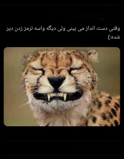 👌😂