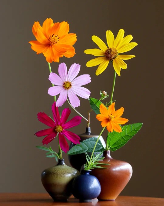 🌺🌻🌹🌷🌸💐