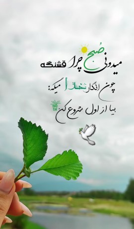آی ملت صبحتون بخیر... 🕊🍁🤞