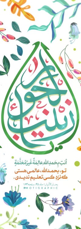 🦋 زَینَبَ الحَوُراء
میلادباسعادت حضرت زینب وروزپرستارمبارک