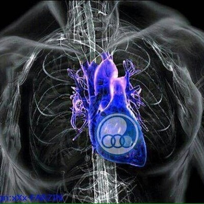 💙 انشاالله ببریم پر گل هم ببریم
