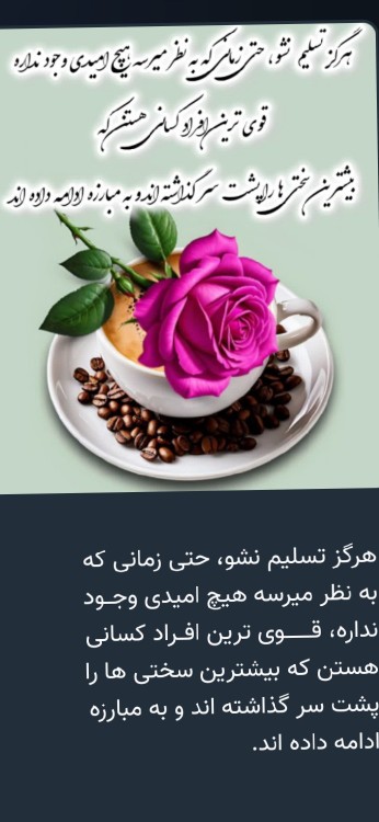 شب همگی خوش ⚘️🤣🥰