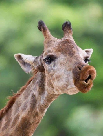 مواظب دل ادمهای مهربان باشیم