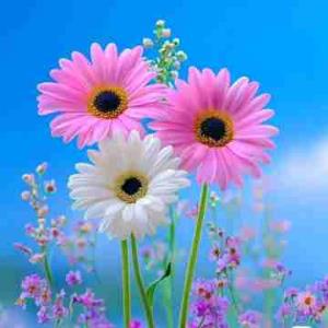 😉😉😉🌊🌼