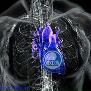 💙 انشاالله ببریم پر گل هم ببریم