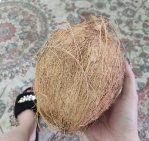به بابام گفتم پودر نارگیل بخره رفته نارگیل خریده میگه پودر 