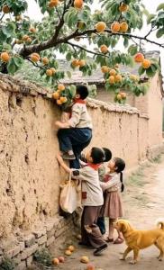 سلام شبتون بخیر 🍁