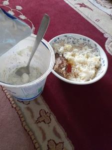 خیلی خسته ام حوصله ناهار خوردن رو هم ندارم🤦‍♀️