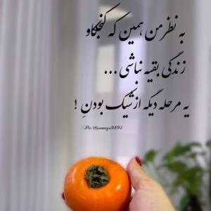 شیک بودن