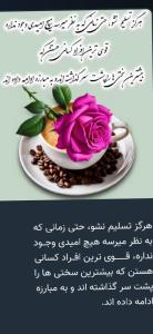 شب همگی خوش ⚘️🤣🥰