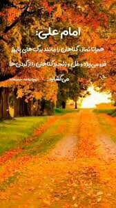 شبتون در پناه حق ان شاءالله 