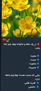 ۹⚘️🪻⚘️💞