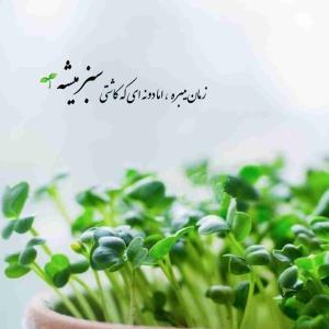 پس بااین حساب تا زنده ایم بذر محبت و خوبی بکاریم و بگذاریم تا بعداز رفتنمون از این دنیا همیشه سبز بماندودیگران ما را با این جمله یاد کنند..آی یادش بخیر خدا بیامرزی آدم خوبی بود..خدایا عاقبتمان را ختم بخیر کن..🤲🏻