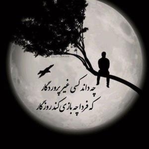 برات آرزو می‌کنم که ،