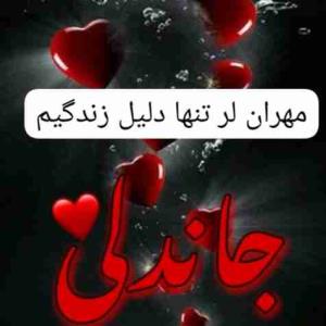 دوستت دارم جان دلم...