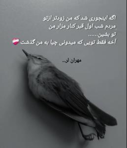 مهران لر...🤔🙄