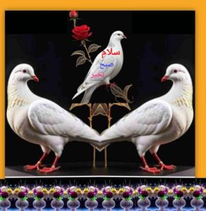 الهی که شاد باشید