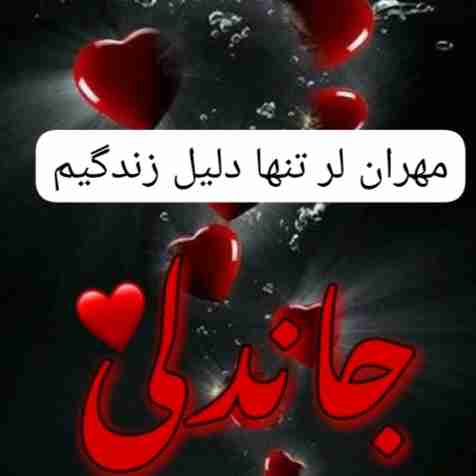 دوستت دارم جان دلم...