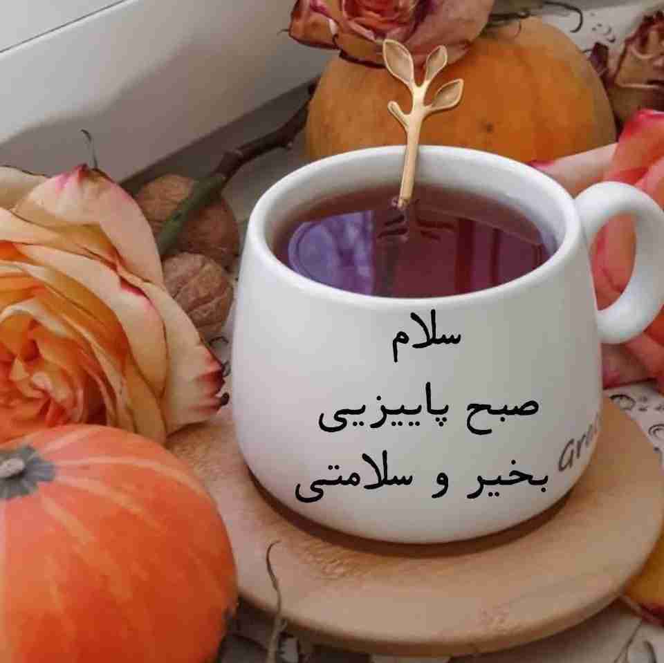 ✋️🌞☕️🌹✨️
🌹سلام صبحتون عالی
🌹الهی تا جهان باشد 
🌹به شادی در جهان باشی
🌹الهی از بلاها در امان باشی
🌹الهی پیش آید برایت
🌹هر آنچه خیرت در آن است
🌹الهی امین شود🤲
🌹روزتون به شادی..یکشنبه شاد ومفرحی برایتان آرزومندم..یا ذالجلال و الإکرام🍁🌻🌻🌻🌻🌻🍁