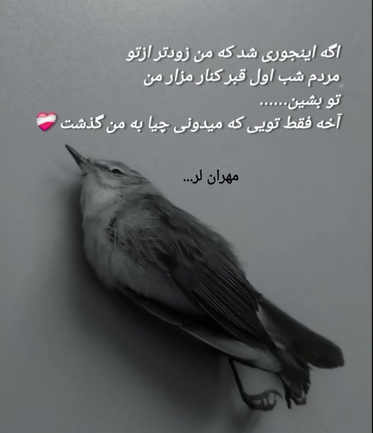 مهران لر...🤔🙄