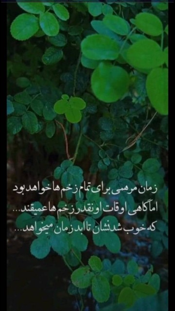 دقیقا👌
