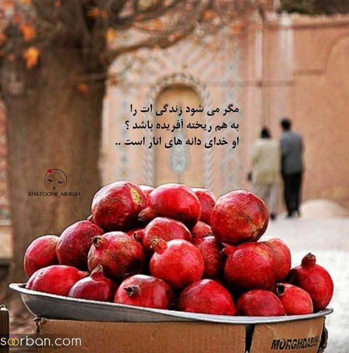 سلام،🌹