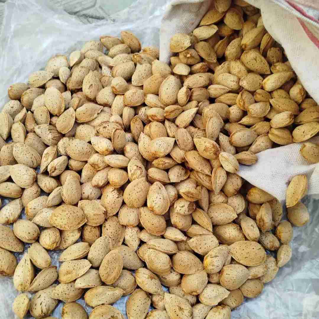 بفرمایید 