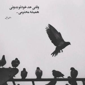 احترام احترام می‌آورد 