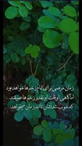 دقیقا👌