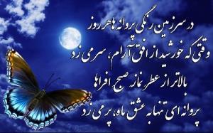 شبتون در سایه سار ماهتاب 🌠🌠🌺☘️