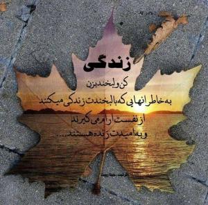 نصیحت امشب