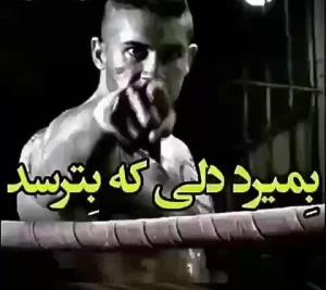 ترس وجودهمه هست شجاع اونی که توترس شجاع باشه