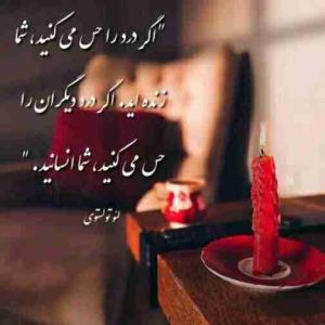 رضا خدابنده از شهرقدس