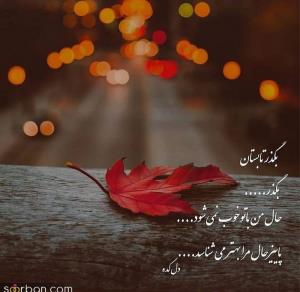 ،🙏🏻🌹