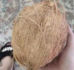 چجوری میشه پودرش کرد😊😁