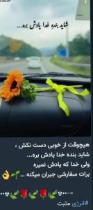 🌷🌷🌷