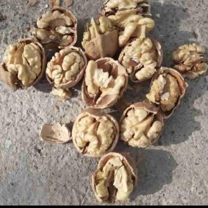  گردو باغ