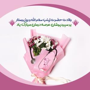 ولادت حضرت زینب وروز پرستار.